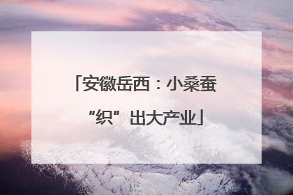 安徽岳西：小桑蚕“织”出大产业