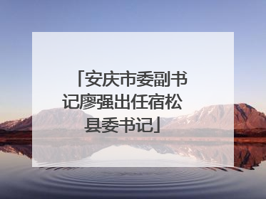 安庆市委副书记廖强出任宿松县委书记