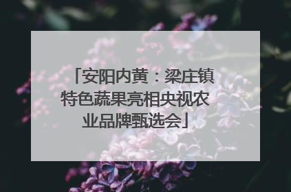 安阳内黄：梁庄镇特色蔬果亮相央视农业品牌甄选会
