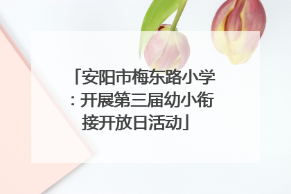 安阳市梅东路小学：开展第三届幼小衔接开放日活动