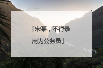 宋某，不得录用为公务员