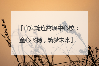 宜宾筠连蒿坝中心校：童心飞扬，筑梦未来