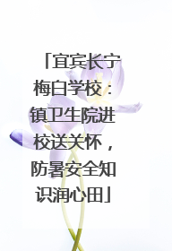 宜宾长宁梅白学校：镇卫生院进校送关怀，防暑安全知识润心田