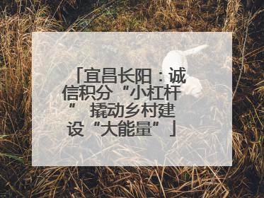 宜昌长阳：诚信积分“小杠杆” 撬动乡村建设“大能量”