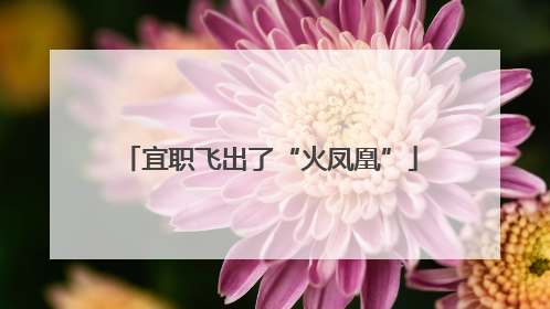 宜职飞出了“火凤凰”