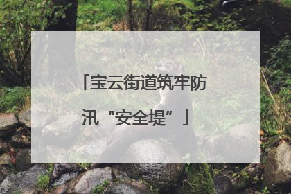 宝云街道筑牢防汛“安全堤”