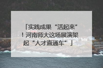 实践成果“活起来”！河南师大这场展演架起“人才直通车”