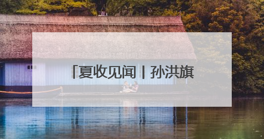 夏收见闻丨孙洪旗的“三夏”新装备