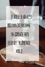 夏日秦巴腹地美如画 朱鹮在稻田里飞舞嬉戏