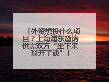 外资想投什么项目？上海浦东邀请供需双方“坐下来掰开了谈”