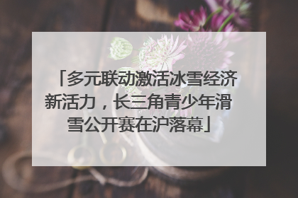 多元联动激活冰雪经济新活力，长三角青少年滑雪公开赛在沪落幕