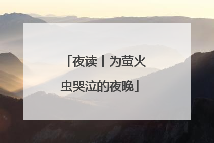 夜读丨为萤火虫哭泣的夜晚