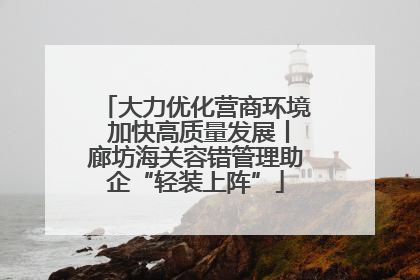 大力优化营商环境 加快高质量发展丨廊坊海关容错管理助企“轻装上阵”