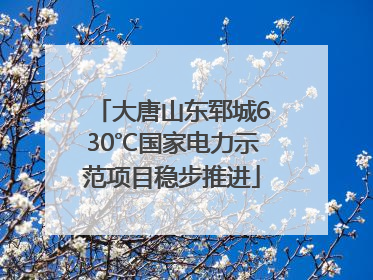 大唐山东郓城630℃国家电力示范项目稳步推进
