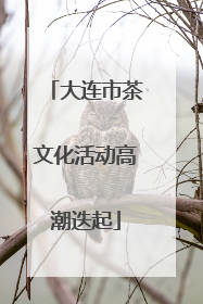 大连市茶文化活动高潮迭起