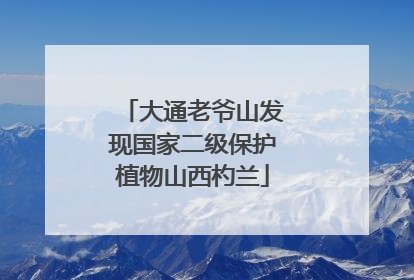 大通老爷山发现国家二级保护植物山西杓兰