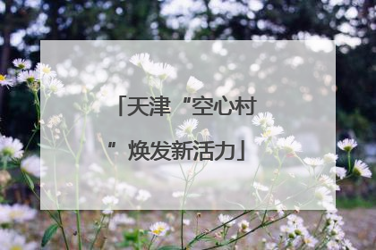 天津“空心村”焕发新活力
