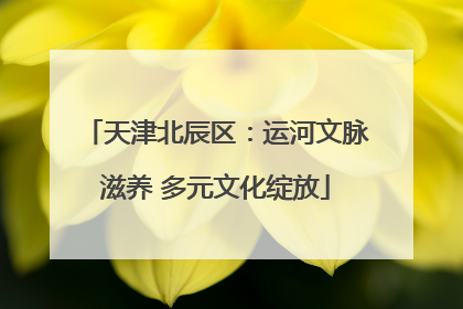 天津北辰区：运河文脉滋养 多元文化绽放