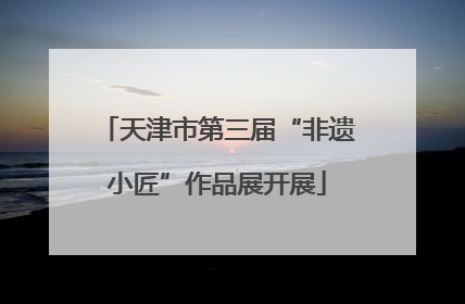 天津市第三届“非遗小匠”作品展开展