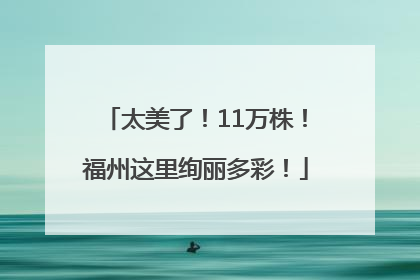 太美了！11万株！福州这里绚丽多彩！