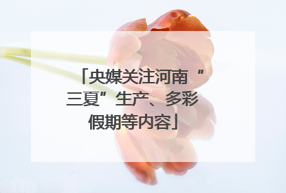 央媒关注河南“三夏”生产、多彩假期等内容