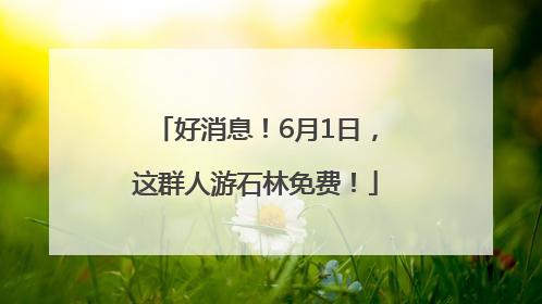 好消息！6月1日，这群人游石林免费！