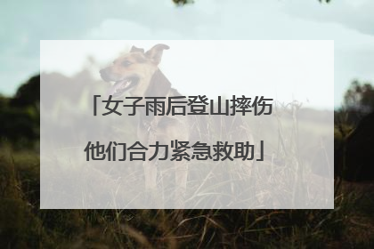 女子雨后登山摔伤 他们合力紧急救助