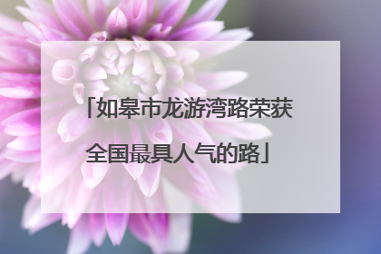如皋市龙游湾路荣获全国最具人气的路
