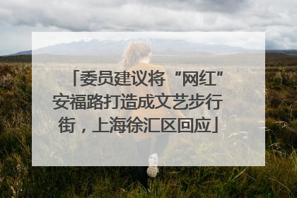 委员建议将“网红”安福路打造成文艺步行街，上海徐汇区回应