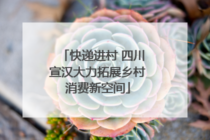 快递进村 四川宣汉大力拓展乡村消费新空间