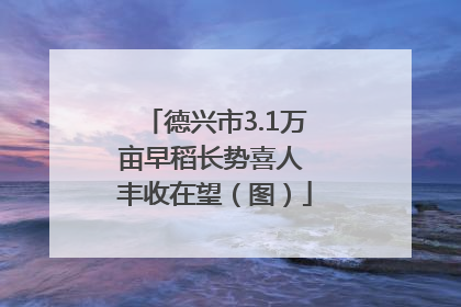德兴市3.1万亩早稻长势喜人 丰收在望（图）