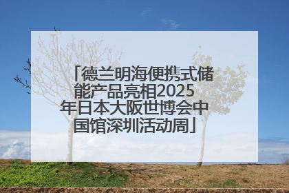 德兰明海便携式储能产品亮相2025年日本大阪世博会中国馆深圳活动周