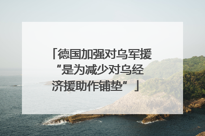 德国加强对乌军援 “是为减少对乌经济援助作铺垫”