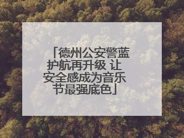 德州公安警蓝护航再升级 让安全感成为音乐节最强底色