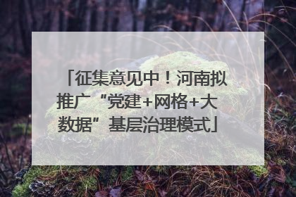 征集意见中！河南拟推广“党建+网格+大数据”基层治理模式