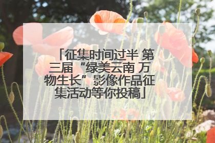 征集时间过半 第三届“绿美云南 万物生长”影像作品征集活动等你投稿