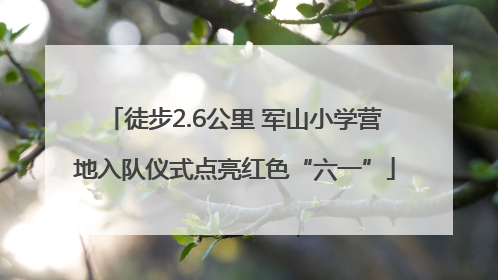徒步2.6公里 军山小学营地入队仪式点亮红色“六一”