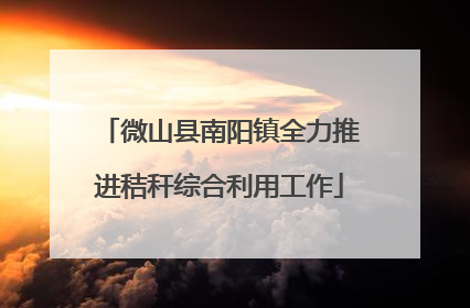 微山县南阳镇全力推进秸秆综合利用工作