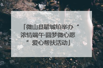 微山县驩城镇举办“浓情端午·圆梦微心愿”爱心帮扶活动
