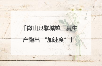 微山县驩城镇三夏生产跑出 “加速度”
