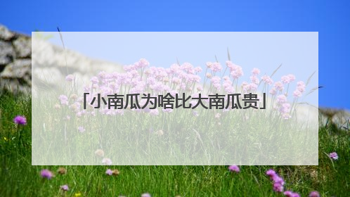 小南瓜为啥比大南瓜贵