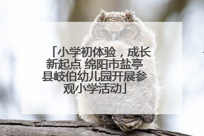 小学初体验，成长新起点 绵阳市盐亭县岐伯幼儿园开展参观小学活动