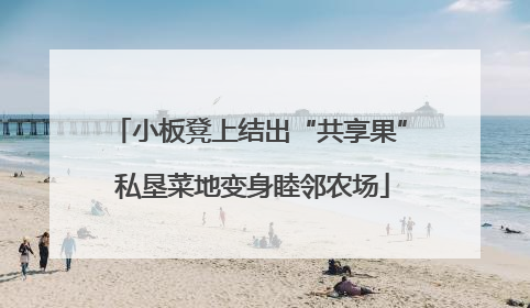 小板凳上结出“共享果” 私垦菜地变身睦邻农场