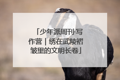 少年派周刊·写作营｜绣在武陵褶皱里的文明长卷