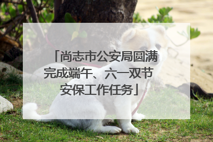 尚志市公安局圆满完成端午、六一双节安保工作任务
