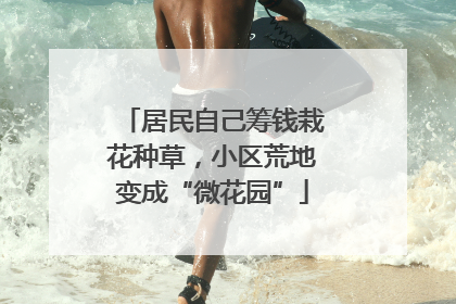 居民自己筹钱栽花种草，小区荒地变成“微花园”