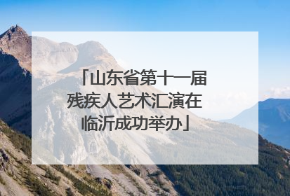山东省第十一届残疾人艺术汇演在临沂成功举办