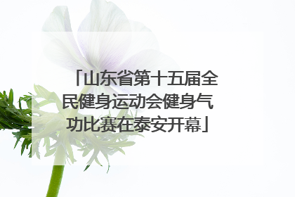 山东省第十五届全民健身运动会健身气功比赛在泰安开幕