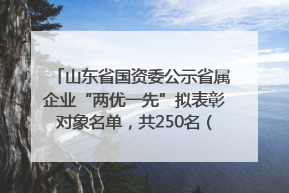 山东省国资委公示省属企业“两优一先”拟表彰对象名单，共250名（个）党员和党组织