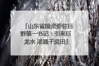 山东省国资委驻巨野第一书记：引来巨龙水 灌溉千亩田